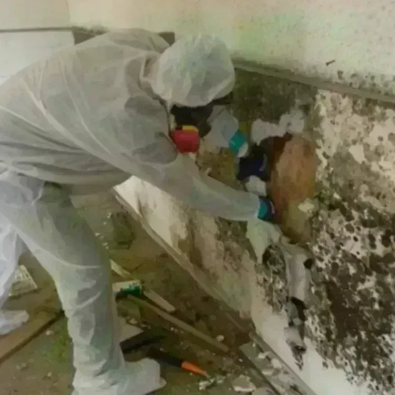 Mold Remediation and Removal in Bartonsville, MD